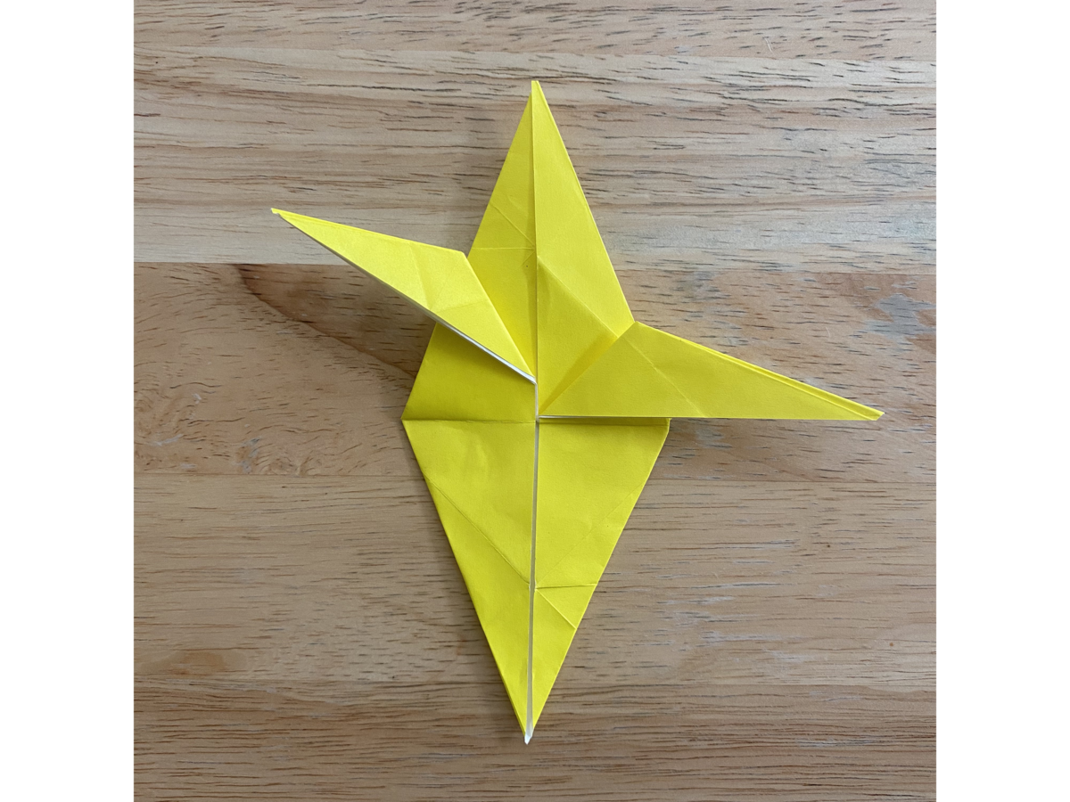 Detail view of an origami step.