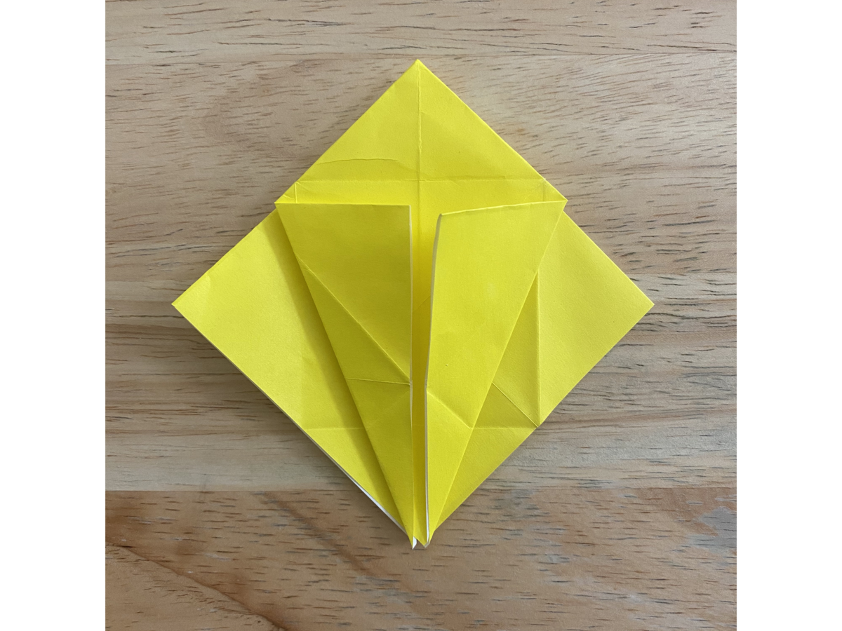 Detail view of an origami step.