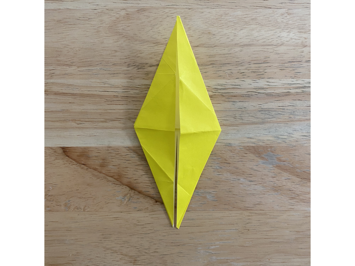 Detail view of an origami step.