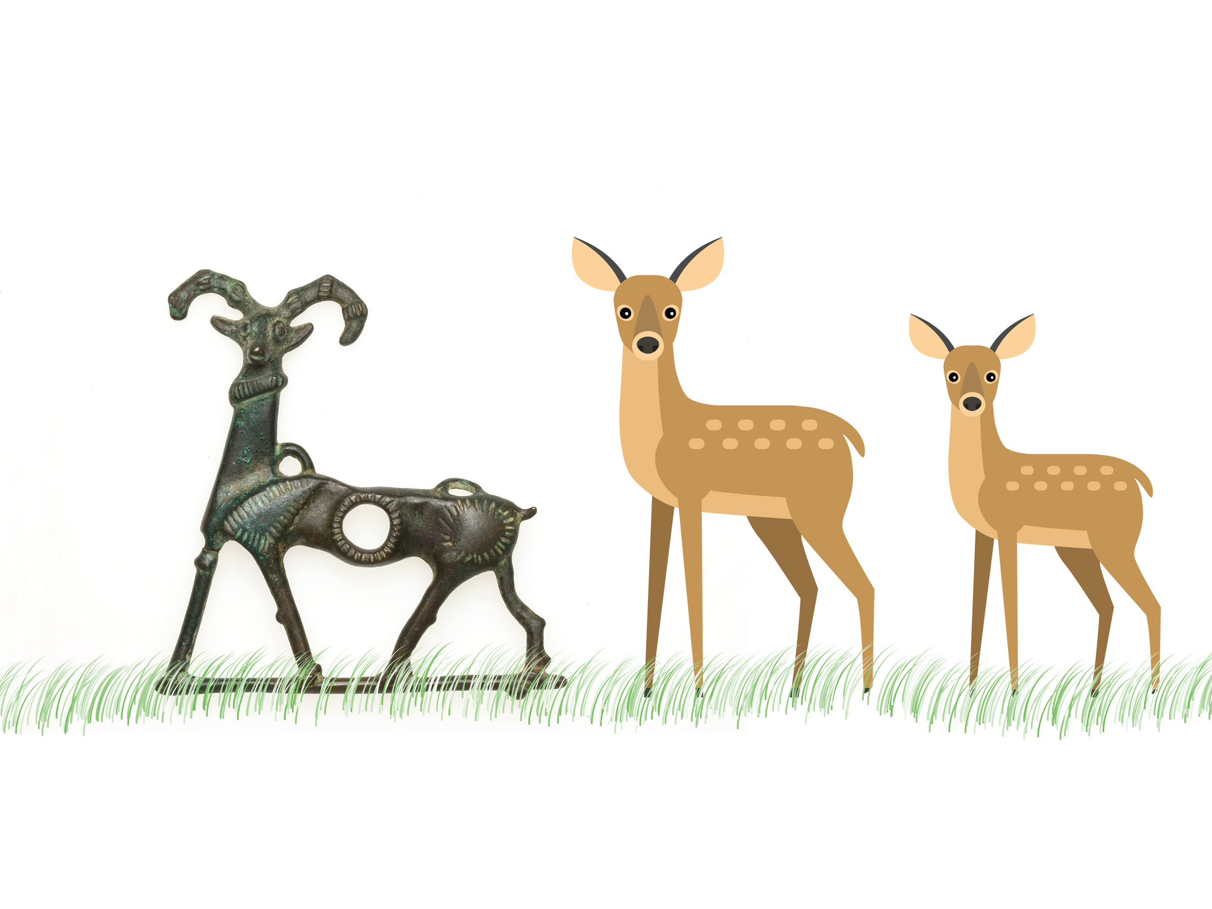 Deer
