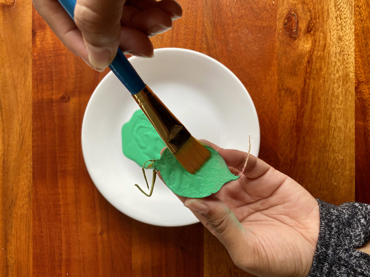 Detail view of painted vegetable stamp activity.