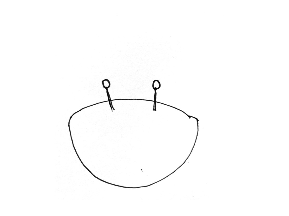 Detail view of drawing a crab activity.