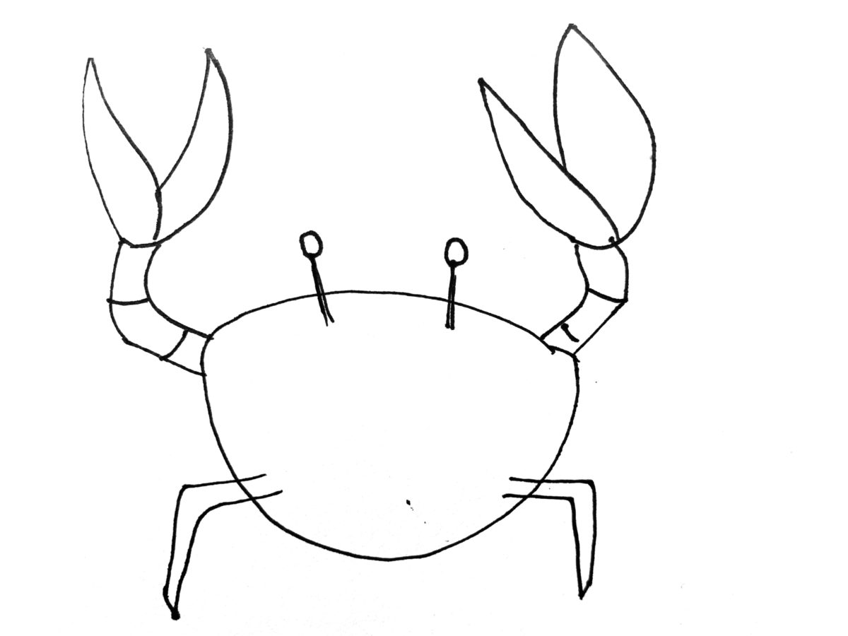 Detail view of drawing a crab activity.
