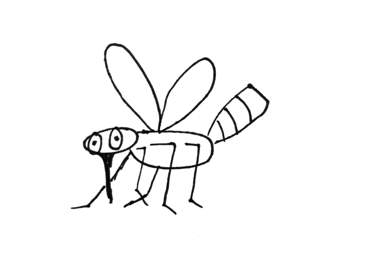 Detail view of drawing a mosquito activity.