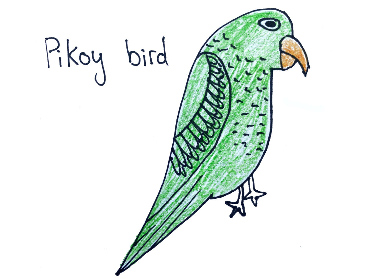 Detail view of drawing a bird activity.