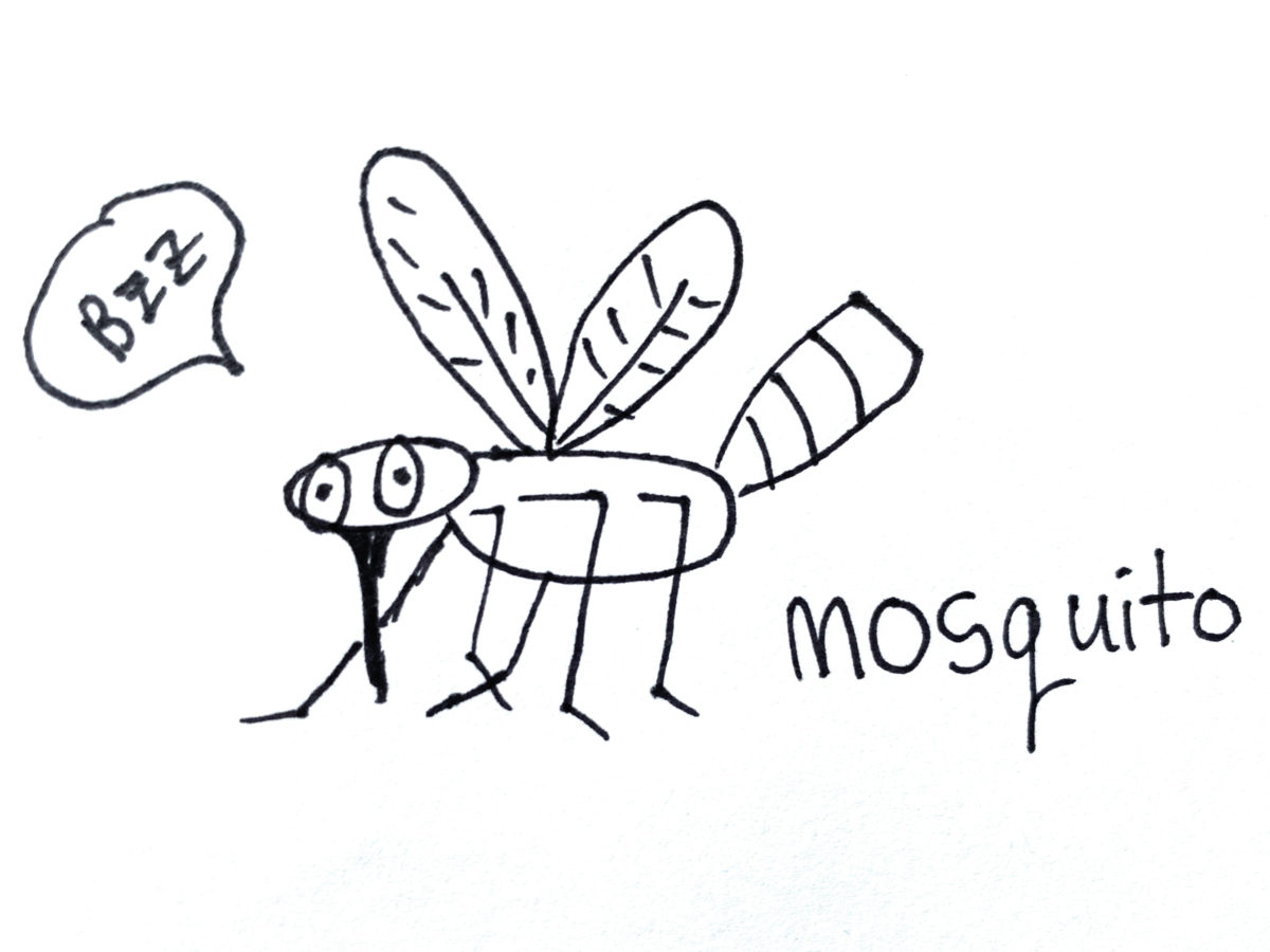 Detail view of drawing a mosquito activity.